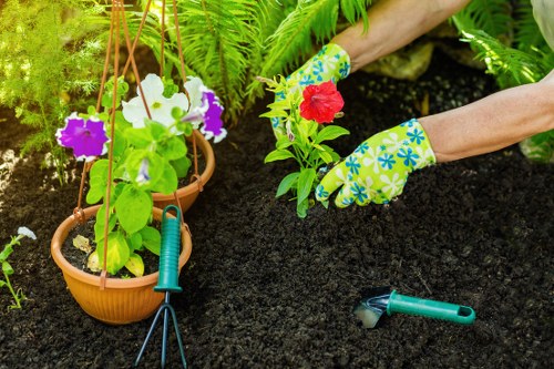 Accessible gardening content for The Hyde with screen-reader support