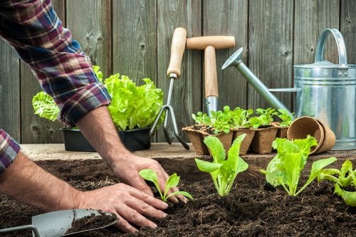 Gardening services in The Hyde for a neat residential outdoor space