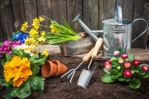 Clearing brambles, leaves, and debris during garden clearance in The Hyde