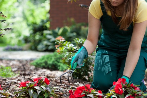 Professional garden clearance in The Hyde restoring a tidy outdoor space