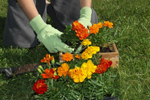 Commitment to WCAG 2.1 AA compliance for Gardeners The Hyde