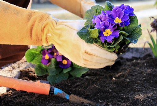 Seasonal lawn care in The Hyde showing healthy turf and garden upkeep