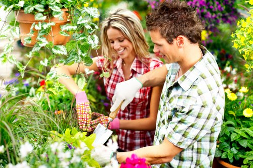 The Hyde gardeners refining a tidy and healthy garden