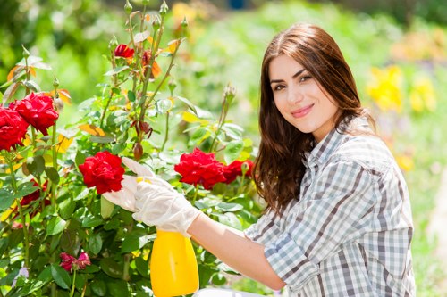 Professional gardening services in The Hyde for seasonal planting