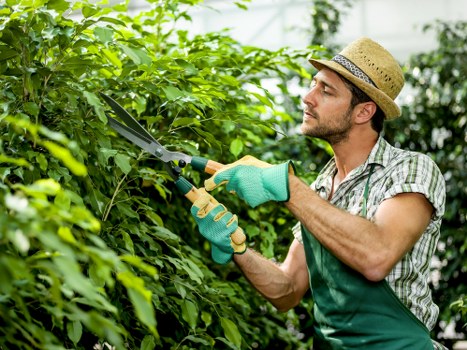SSL-encrypted Gardeners The Hyde payments protecting customer transaction data