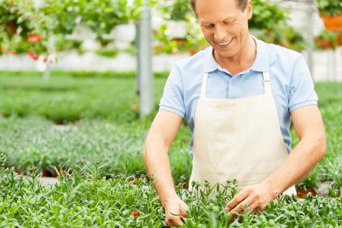 Seasonal garden maintenance in The Hyde with healthy borders