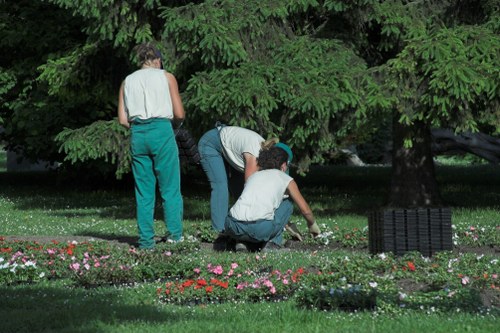 Aeration and lawn restoration in The Hyde to improve soil health and grass quality