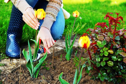 Professional review step in a gardeners complaint policy