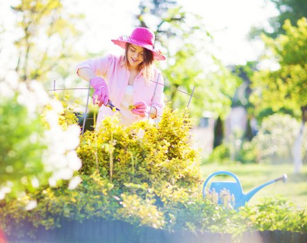 Professional gardening support in The Hyde for tidy outdoor spaces