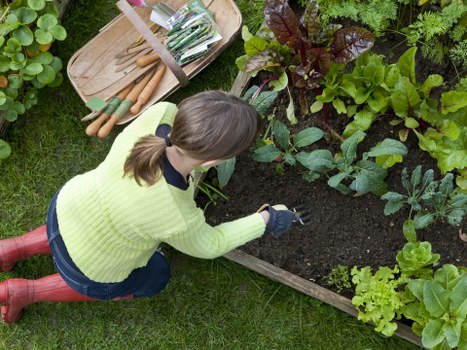 Residential garden upkeep in The Hyde with tidy borders and paths