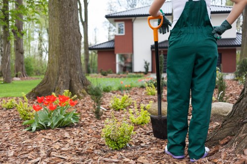 Well-maintained hedge trimming result in The Hyde for improved kerb appeal