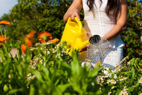 Seasonal planting and outdoor design in a landscaped Hyde garden