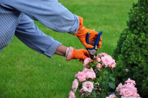 Annual review of modern slavery controls at Gardeners The Hyde