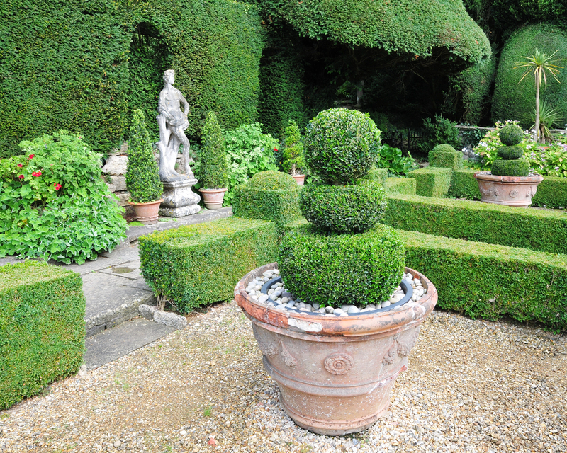 garden trees